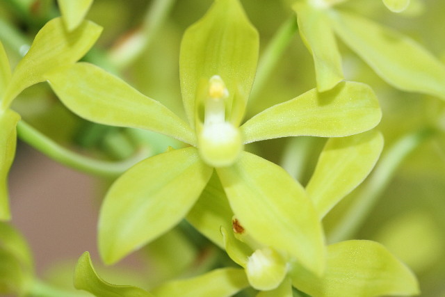 ファイル 900-1.jpg