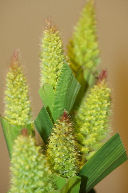 ファイル 900-2.jpg