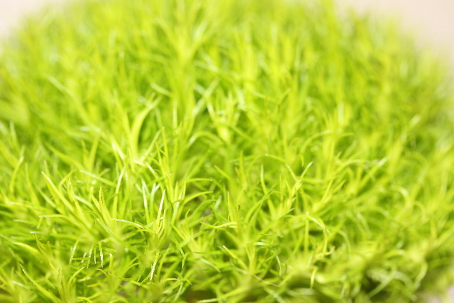 ファイル 900-3.jpg