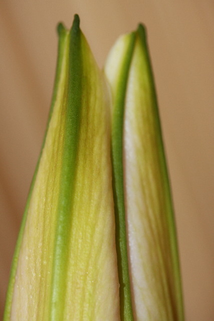 ファイル 900-5.jpg