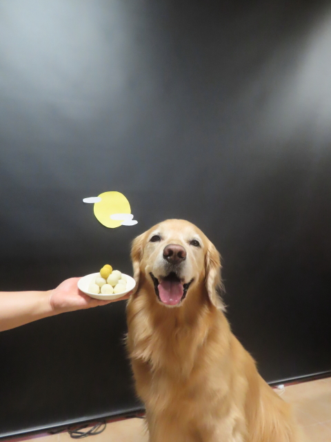 ファイル 9000-1.jpg