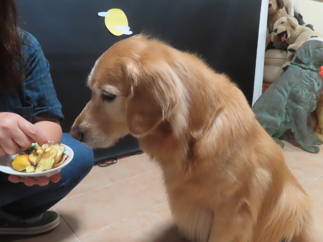 ファイル 9000-4.jpg