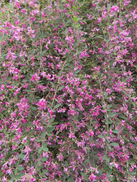 ファイル 9002-2.jpg