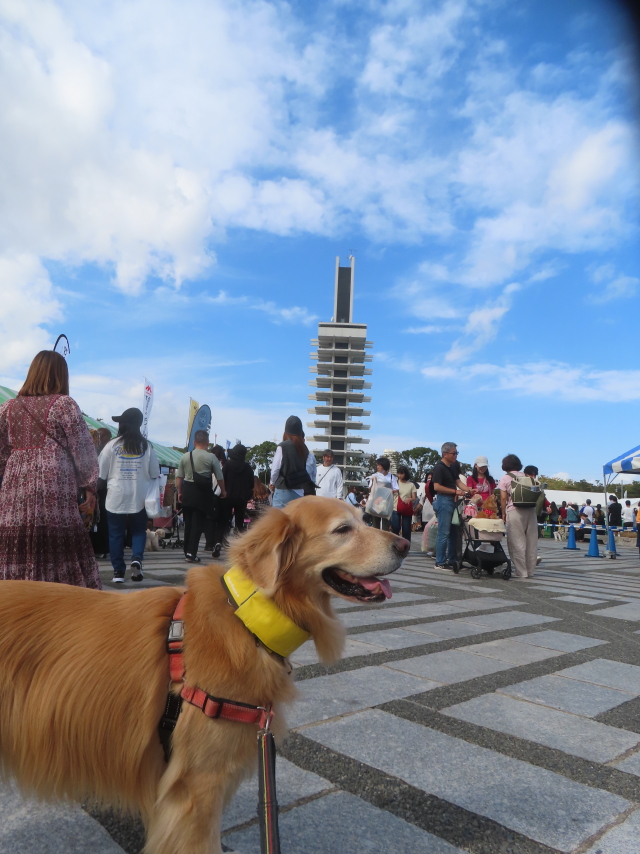 ファイル 9004-2.jpg