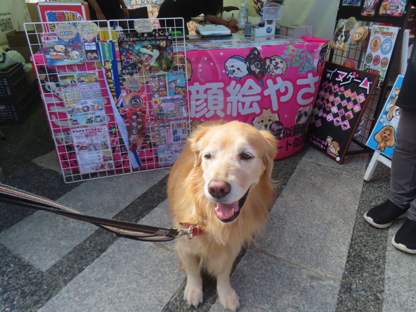 ファイル 9004-3.jpg