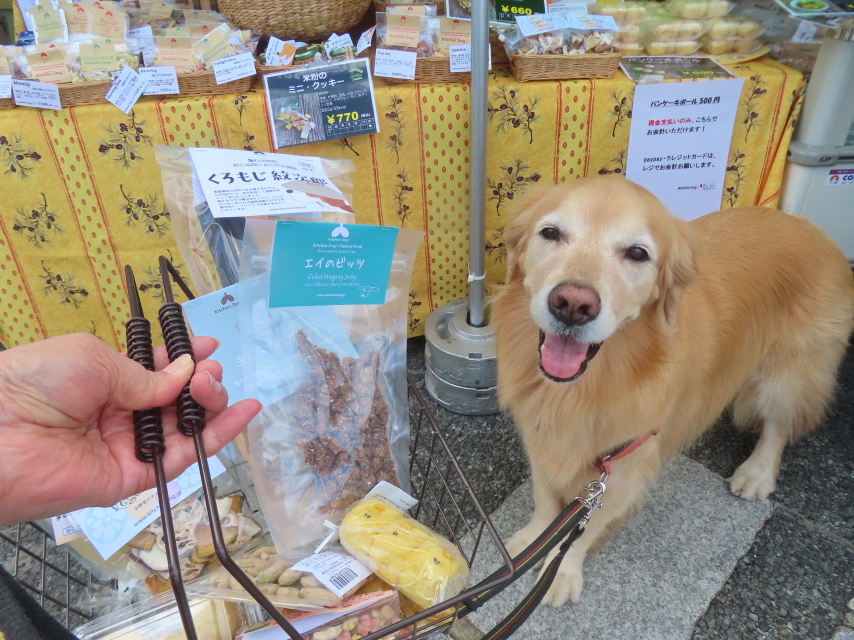 ファイル 9004-4.jpg