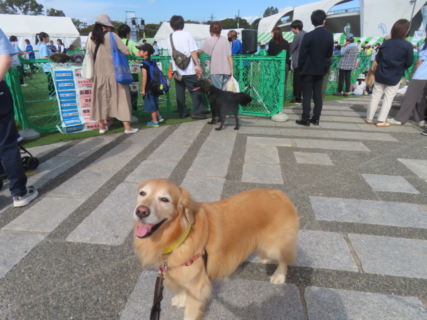 ファイル 9004-5.jpg