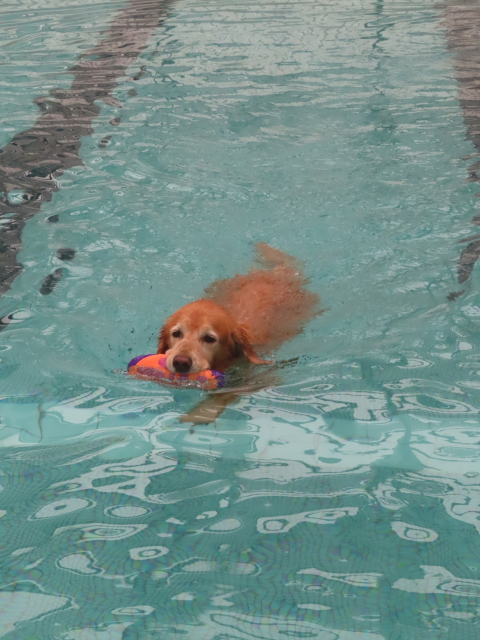 ファイル 9007-3.jpg