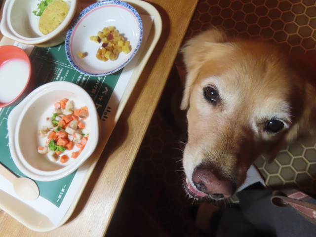 ファイル 9008-1.jpg