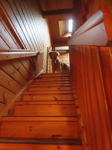 ファイル 9008-2.jpg