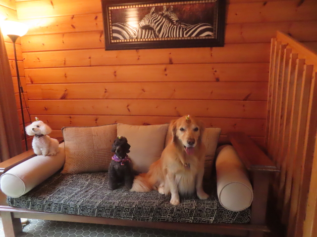 ファイル 9008-3.jpg