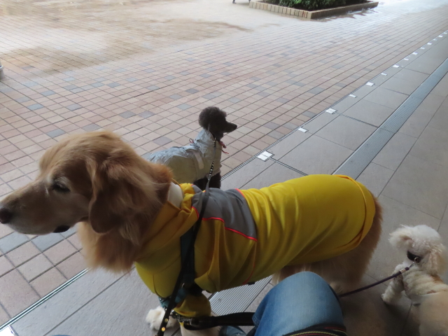 ファイル 9008-4.jpg