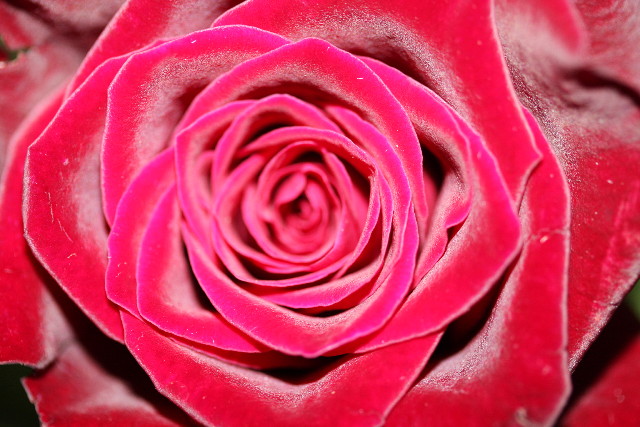 ファイル 901-1.jpg