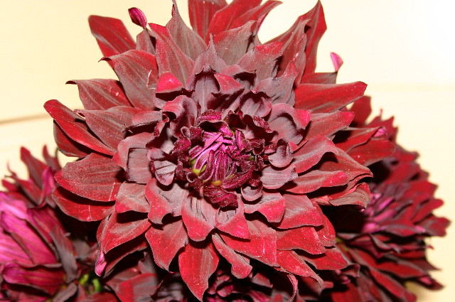 ファイル 901-2.jpg