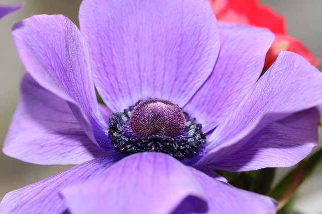 ファイル 901-3.jpg