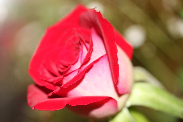 ファイル 901-4.jpg