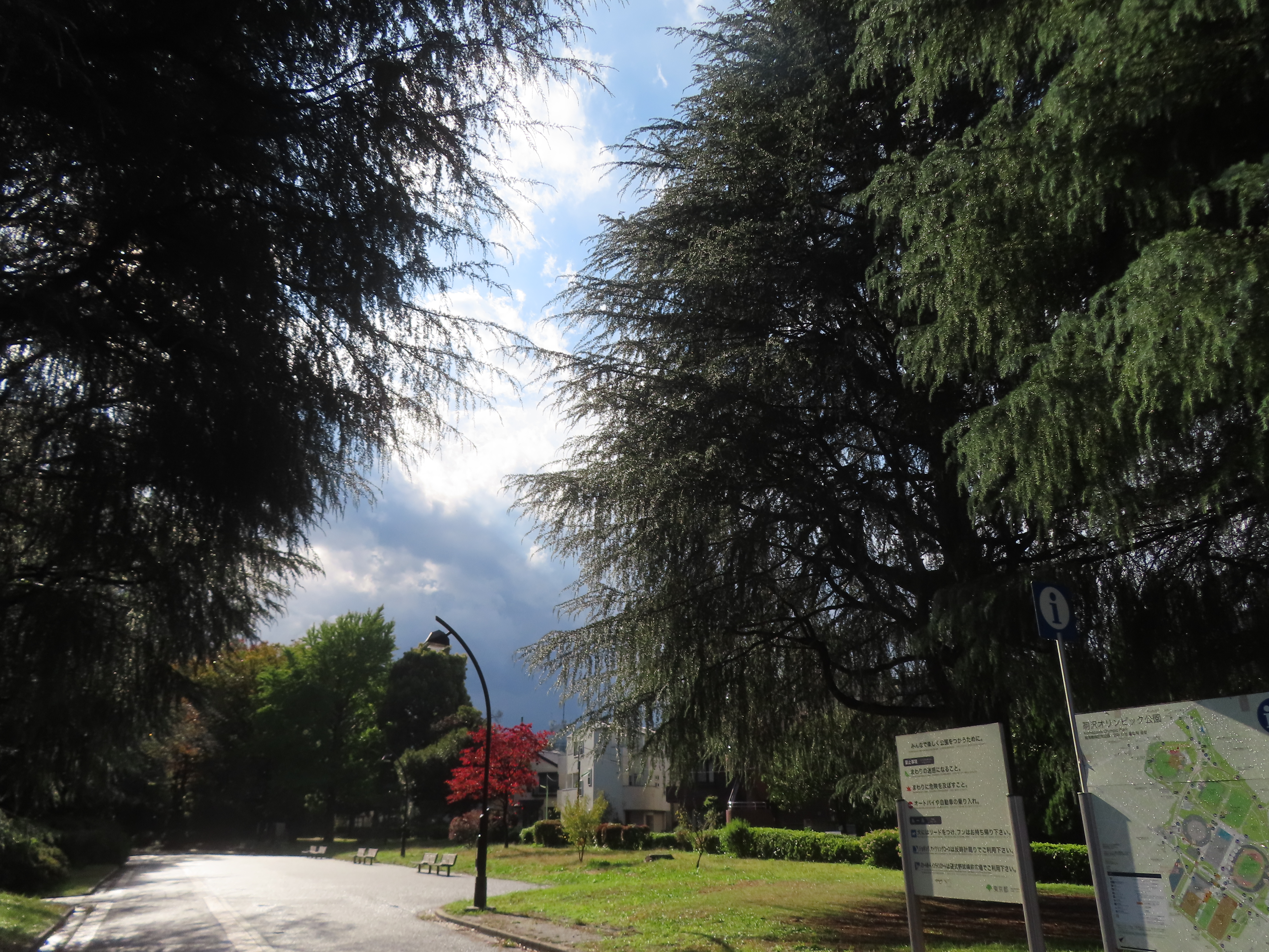 ファイル 9015-2.jpg