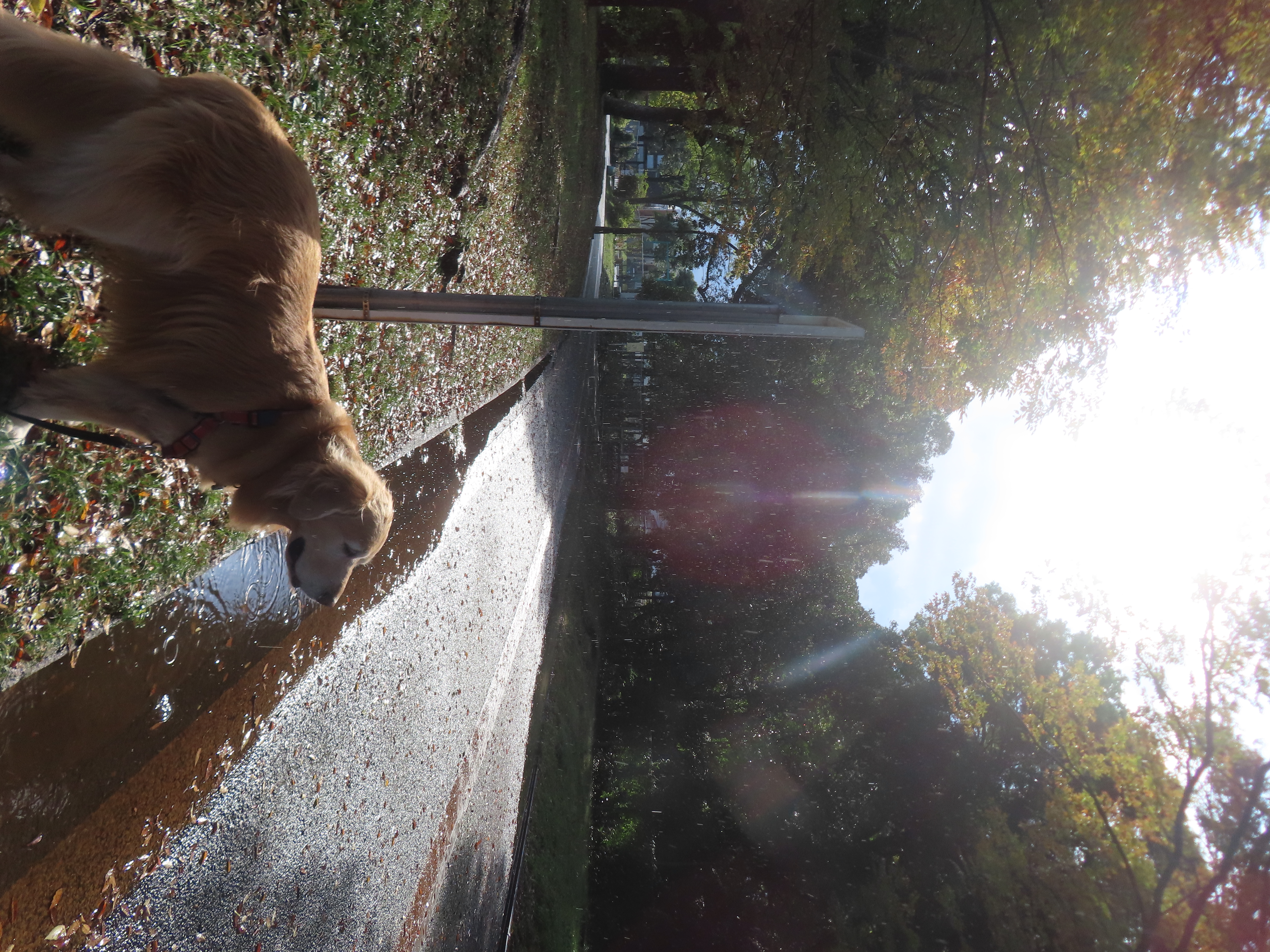 ファイル 9015-4.jpg