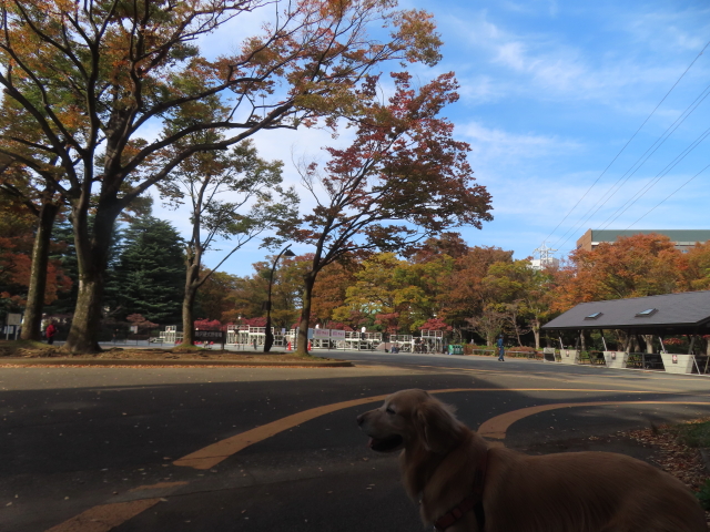 ファイル 9016-2.jpg