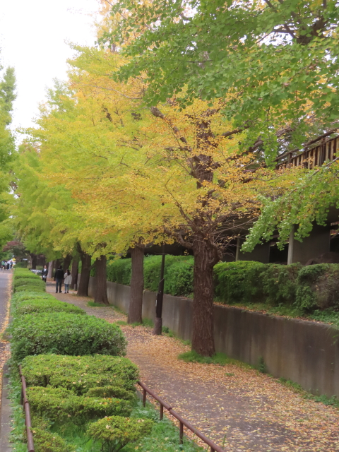 ファイル 9016-4.jpg