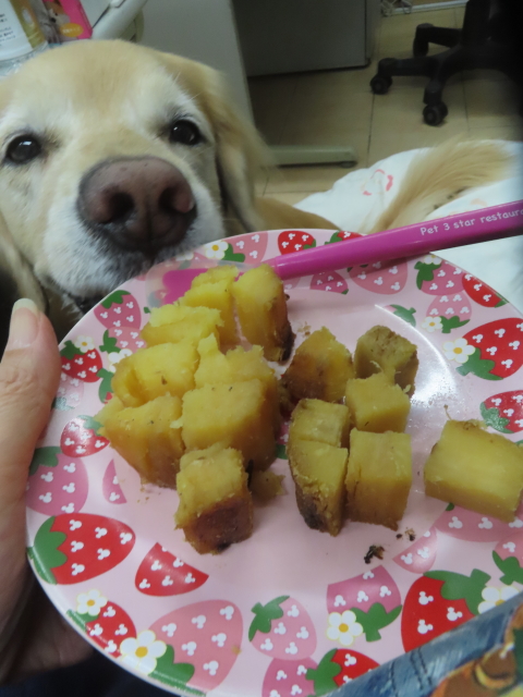 ファイル 9017-5.jpg