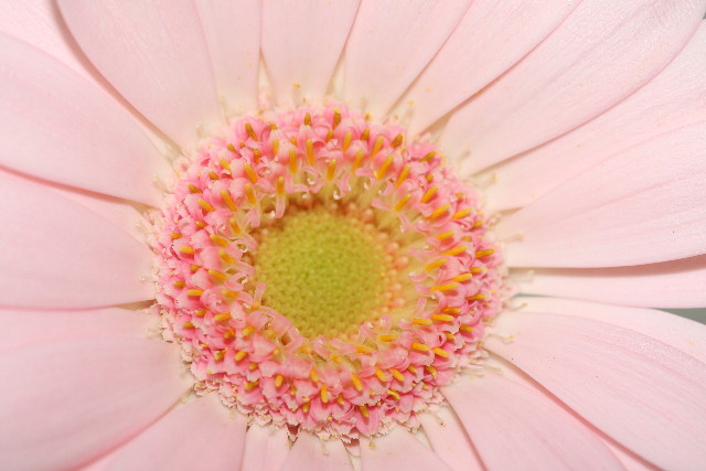 ファイル 902-2.jpg