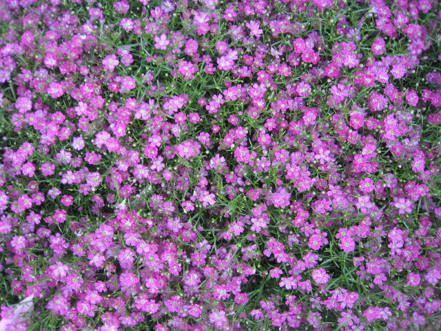 ファイル 902-3.jpg