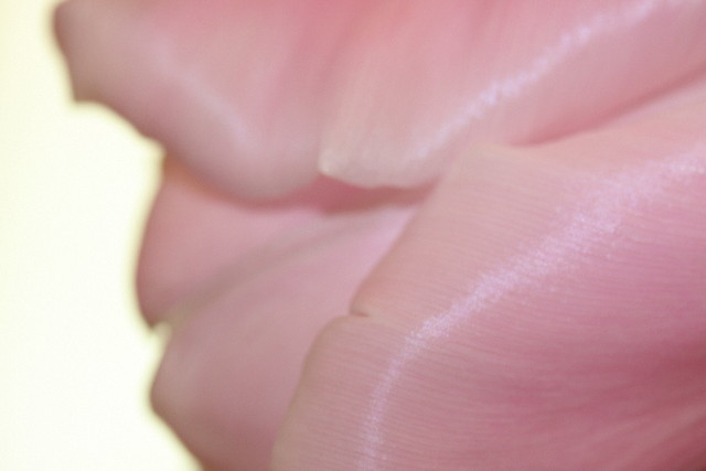 ファイル 902-4.jpg