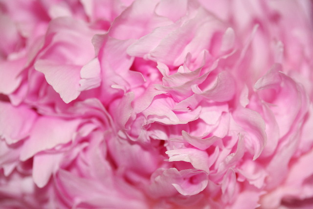 ファイル 902-5.jpg