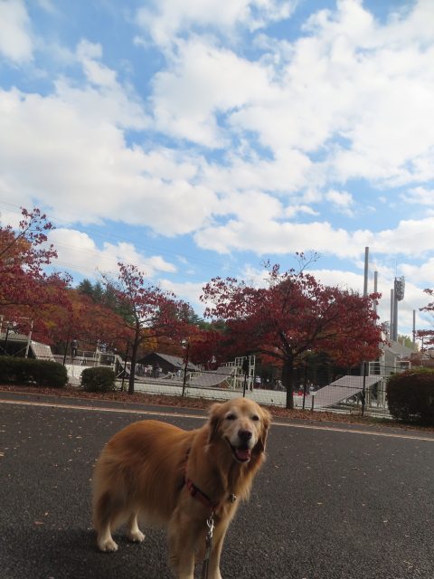 ファイル 9020-2.jpg