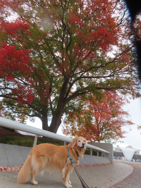 ファイル 9020-3.jpg