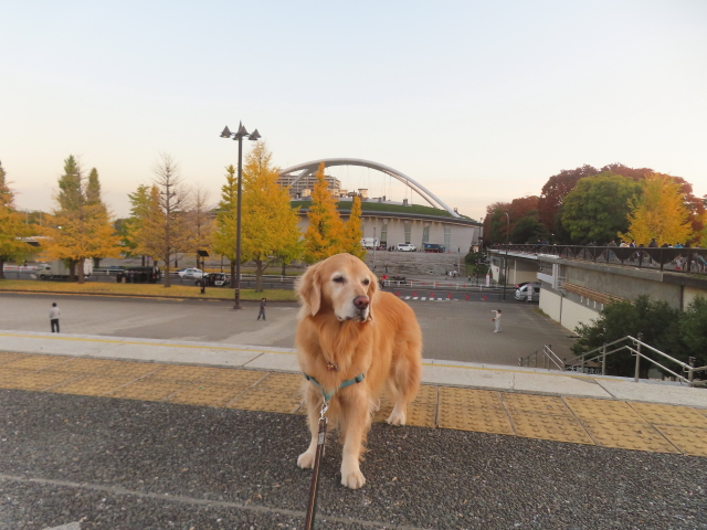 ファイル 9020-4.jpg