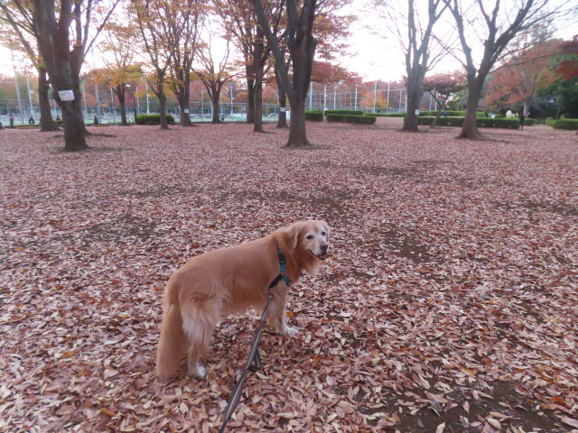 ファイル 9020-5.jpg