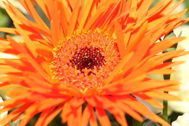 ファイル 903-1.jpg