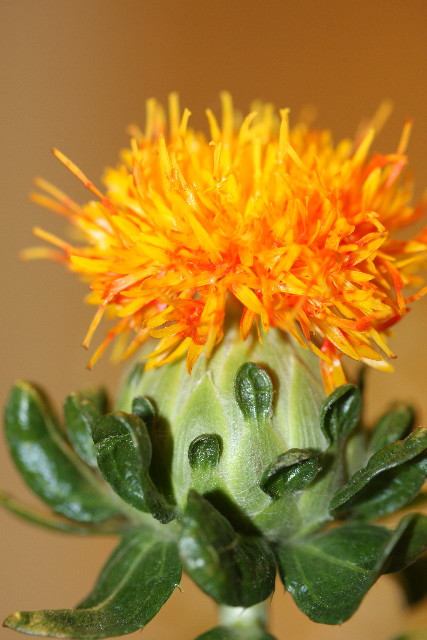 ファイル 903-3.jpg