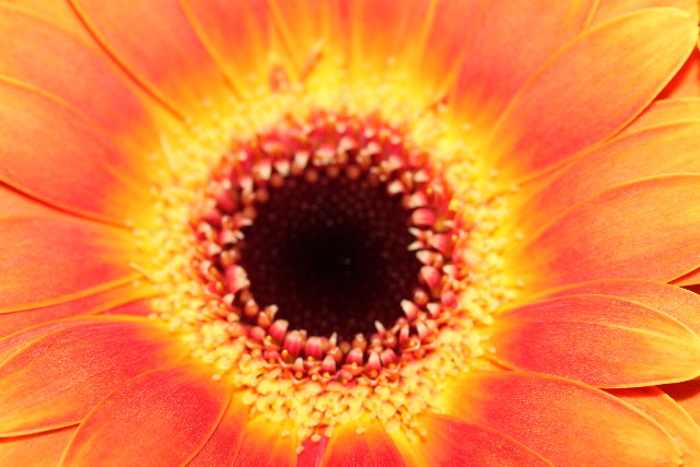 ファイル 903-4.jpg