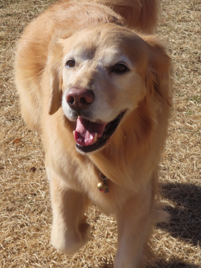 ファイル 9033-2.jpg