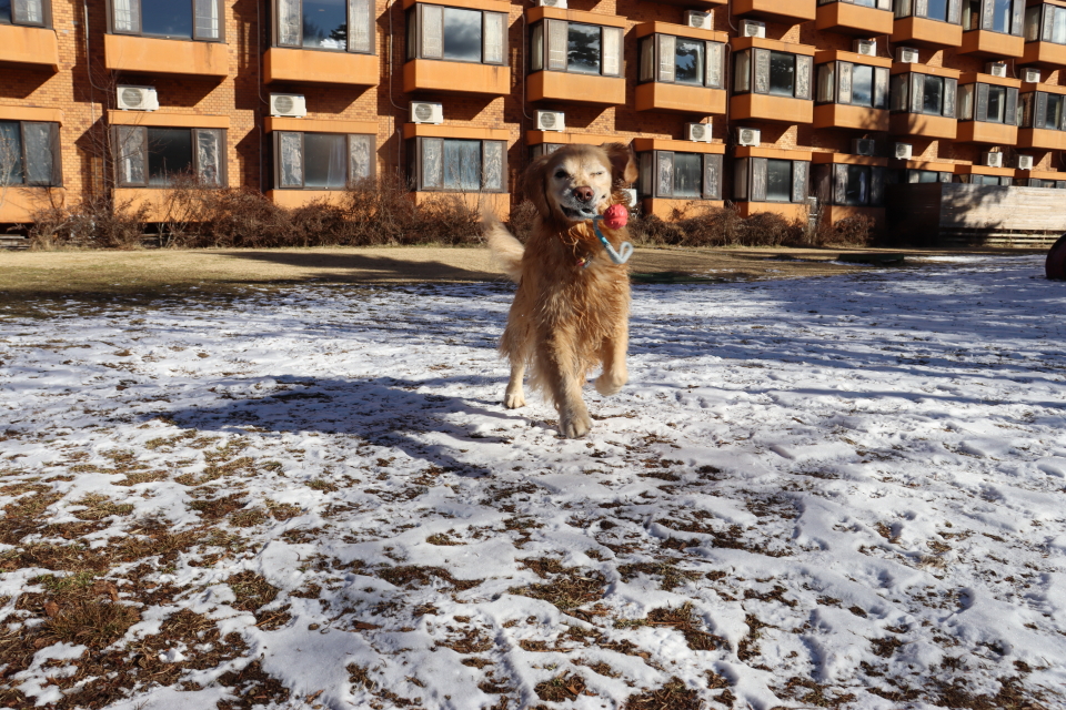 ファイル 9034-5.jpg