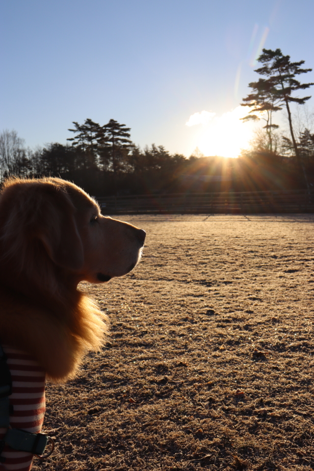 ファイル 9035-1.jpg