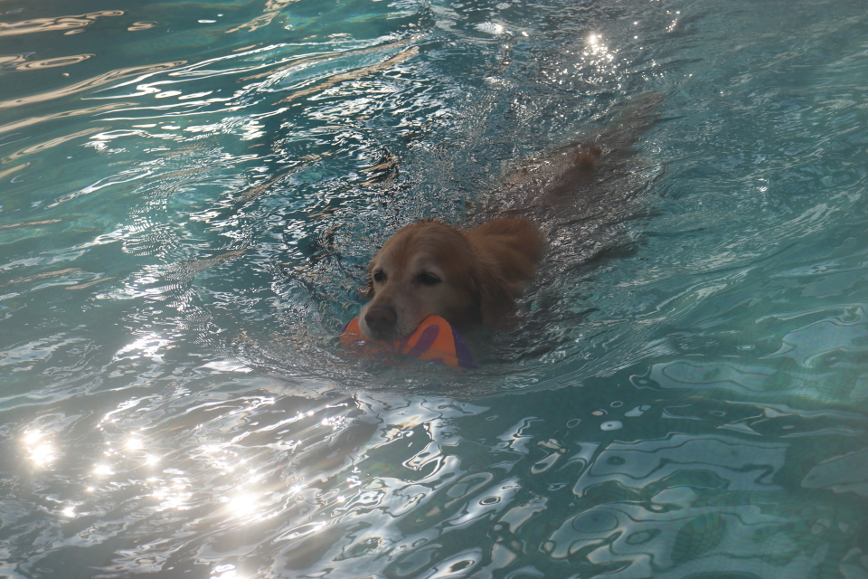 ファイル 9035-4.jpg