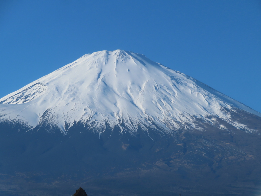 ファイル 9036-1.jpg