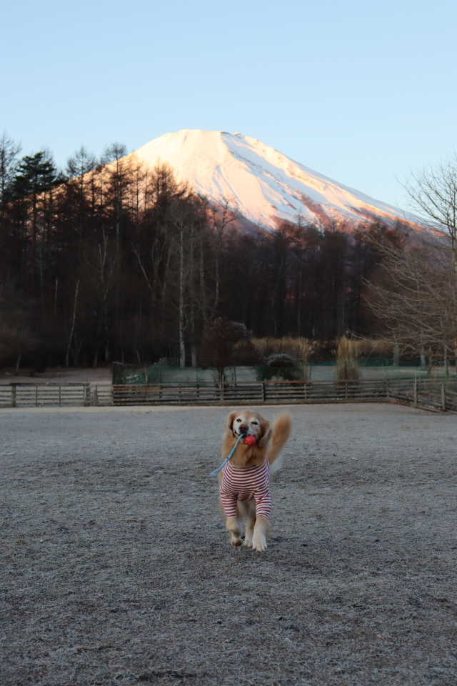 ファイル 9036-3.jpg