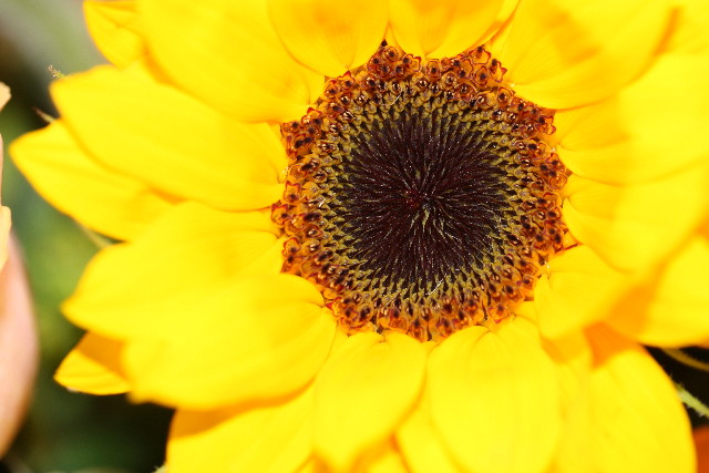 ファイル 904-1.jpg