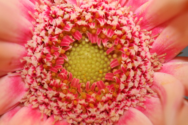 ファイル 904-2.jpg