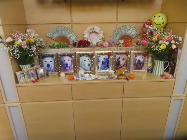 ファイル 9040-3.jpg