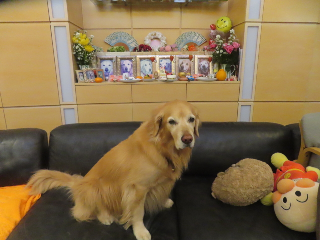 ファイル 9042-5.jpg