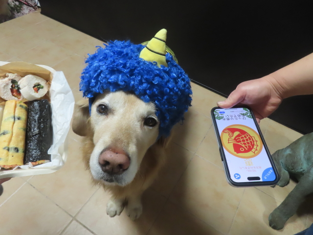 ファイル 9043-3.jpg