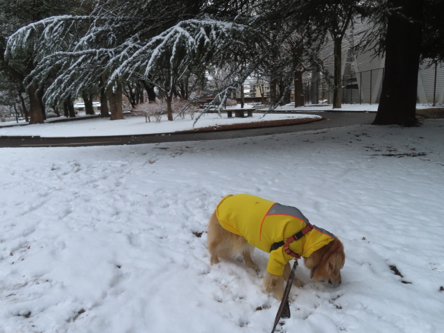 ファイル 9044-3.jpg