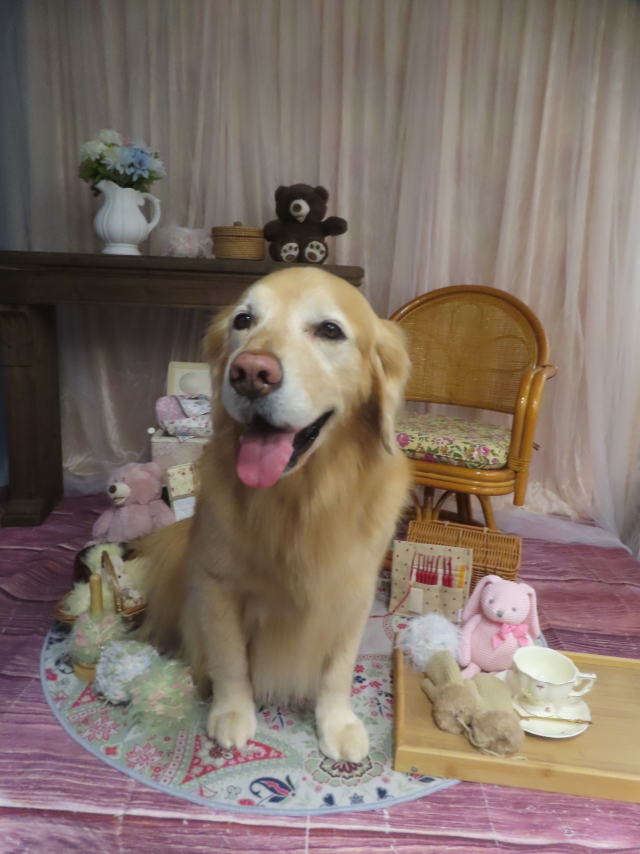 ファイル 9045-2.jpg