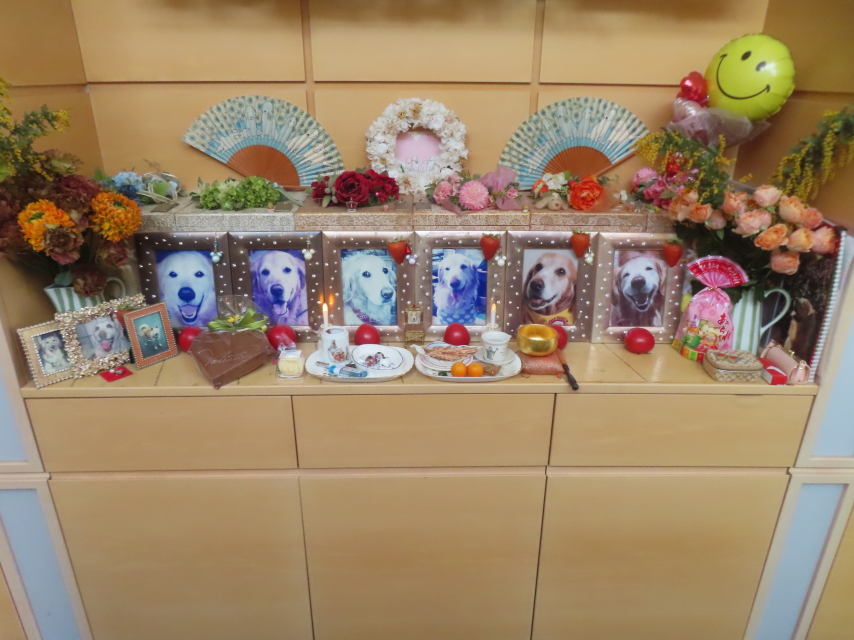 ファイル 9046-1.jpg